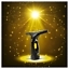 Стеклоочиститель WV 2 Premium Black Edition купить в Минске