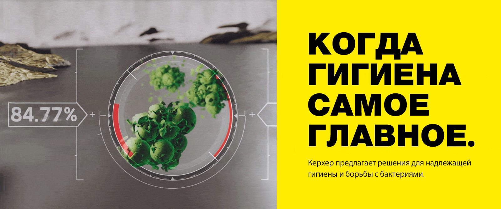 Пароочиститель Керхер (Karcher) купить в Минске, цены на парогенераторы ...