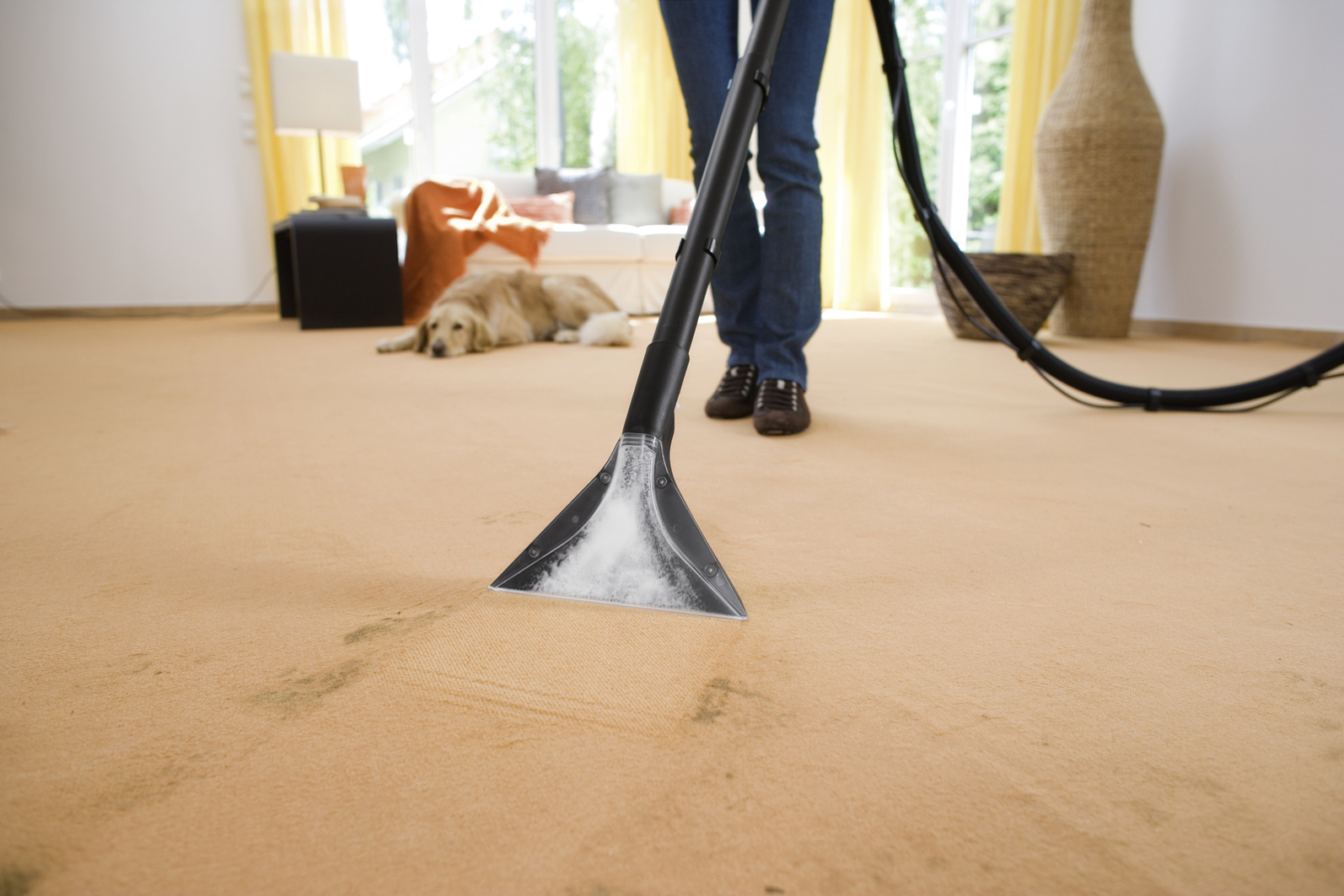 Моющий пылесос Karcher SE 4001 (Керхер) купить в Минске